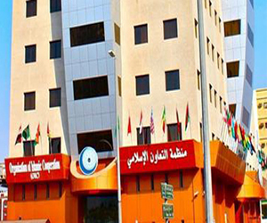   مصر اليوم - منظمة التعاون الإسلامي: 13% نسبة ضحايا الأزمات والكوارث من إجمالي وفيات العالم الإسلامي عام 2012